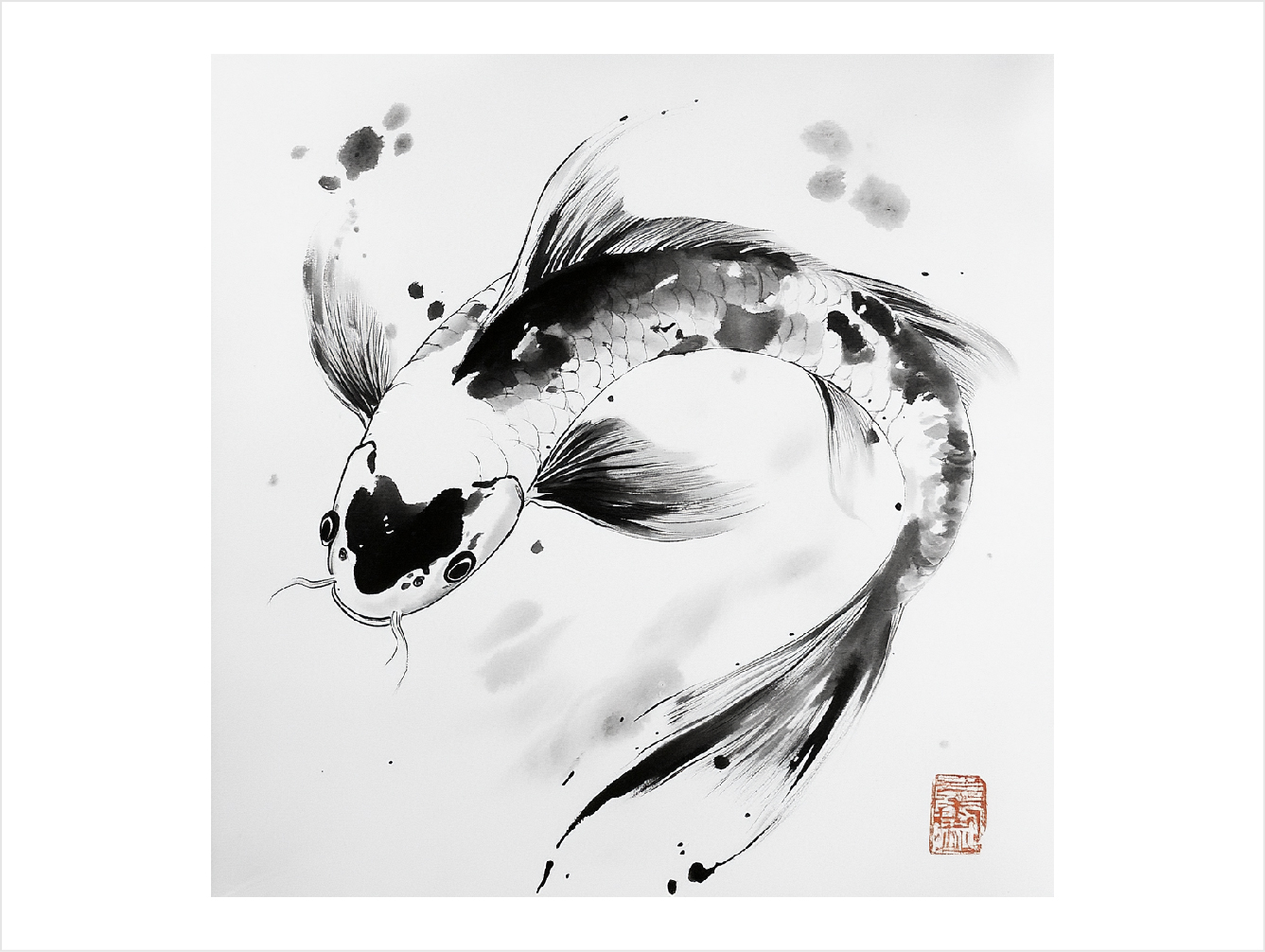 Koi 1
